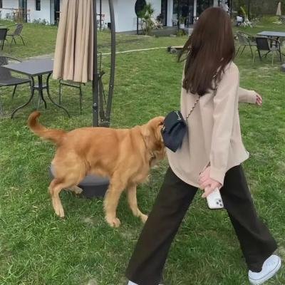 吸血鬼日记第七季
