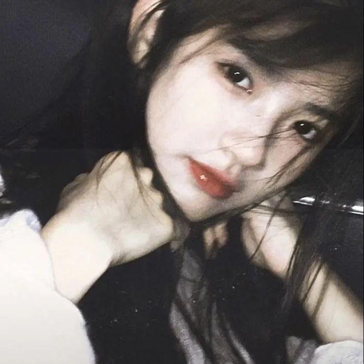 星际狗狗